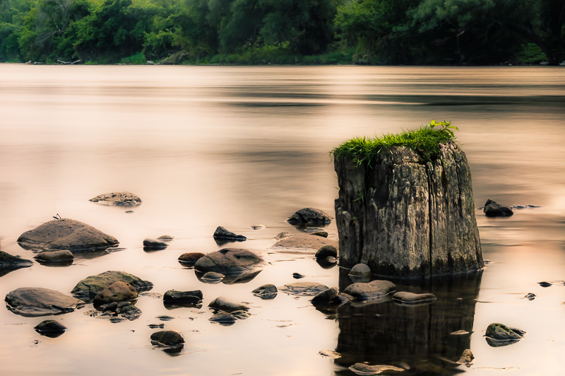 Long exposure of a stump in the Grand River